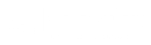Bikeflip Logo
